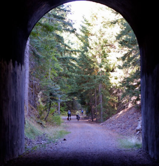 Pneu René Herse Snoqualmie Pass 700x44C Carcasse Standard