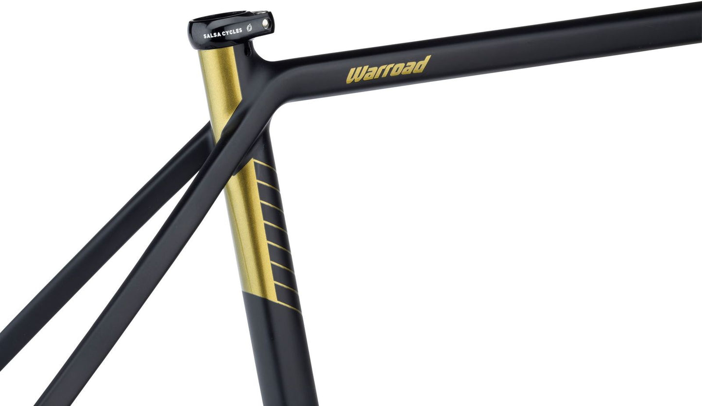 Kit Cadre Salsa Warroad Carbone