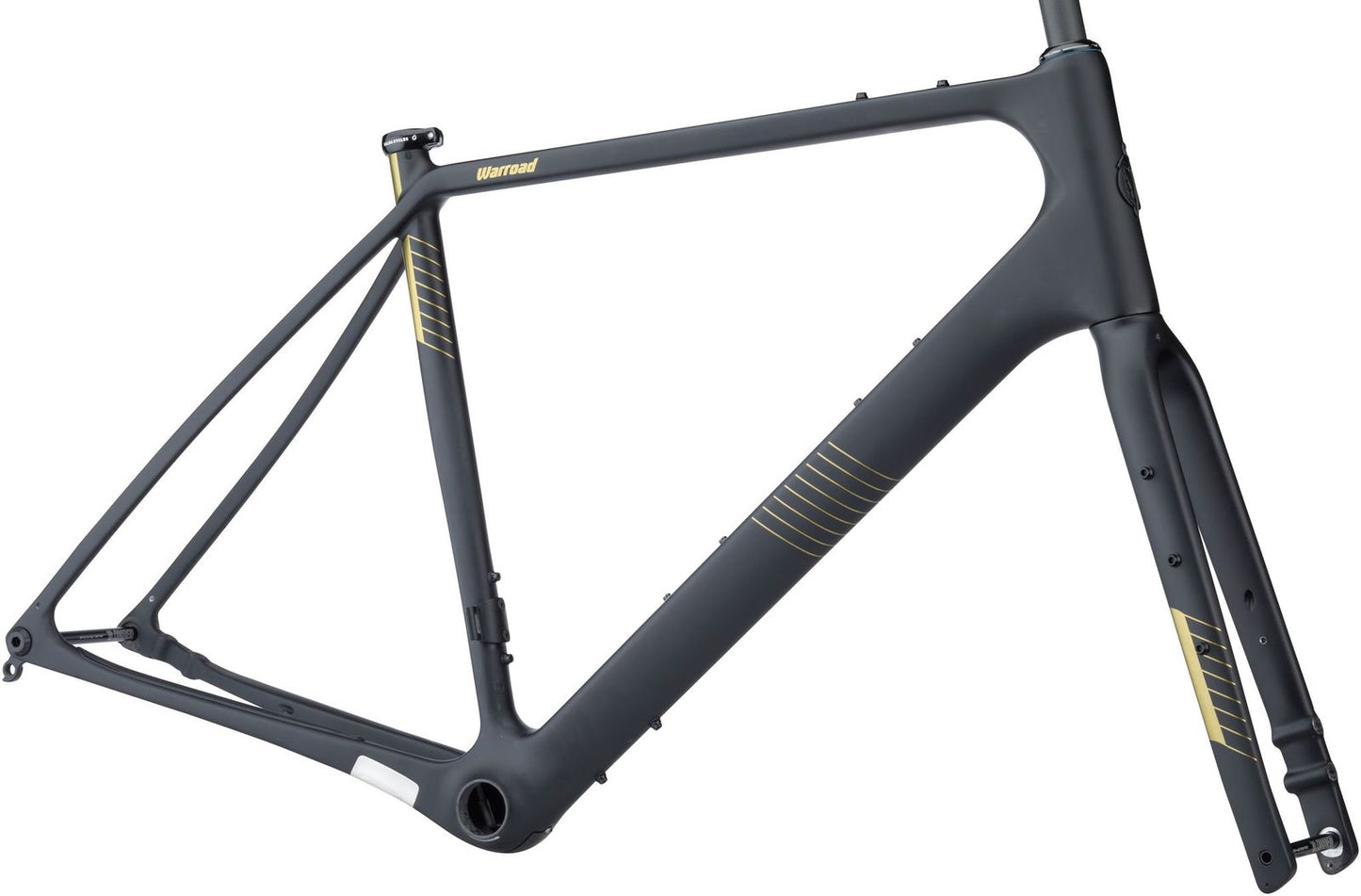 Kit Cadre Salsa Warroad Carbone