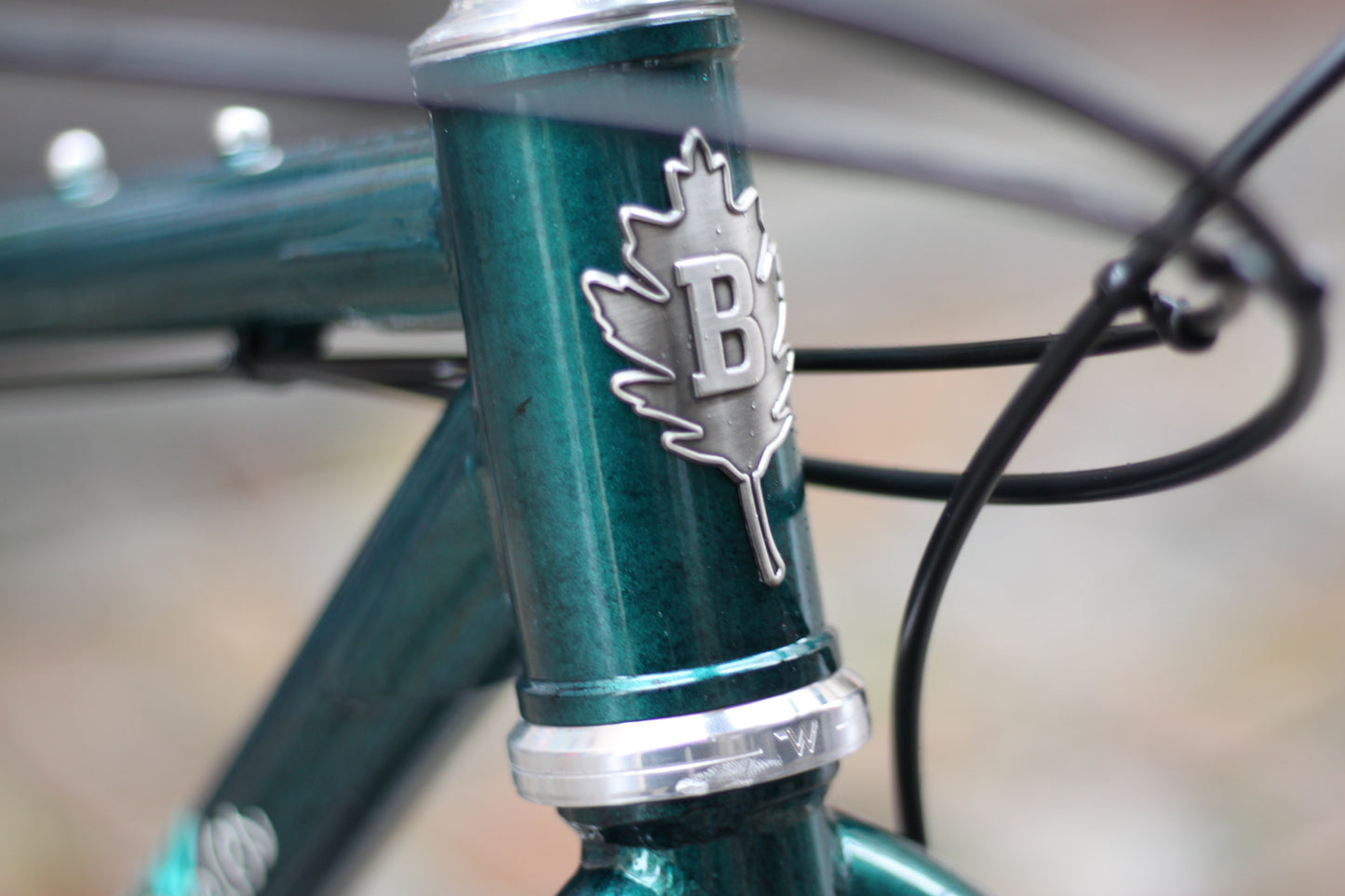 Baroudeur Built - Brother Cycles Big Bro 2025 - Swamp Thing
