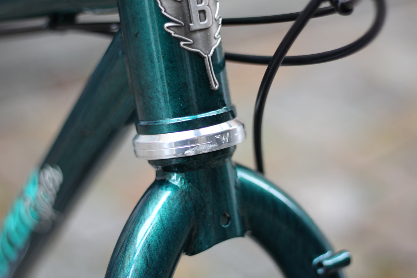 Baroudeur Built - Brother Cycles Big Bro 2025 - Swamp Thing