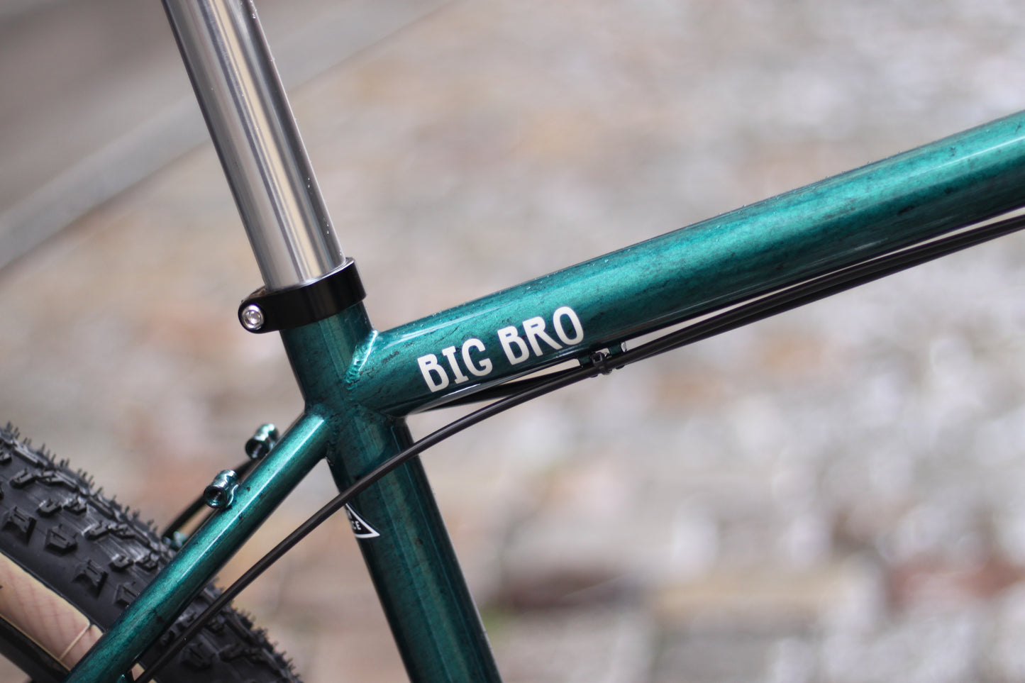Baroudeur Built - Brother Cycles Big Bro 2025 - Swamp Thing