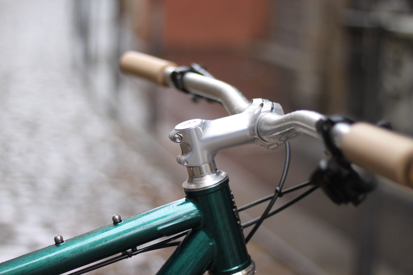 Baroudeur Built - Brother Cycles Big Bro 2025 - Swamp Thing
