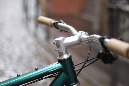 Baroudeur Built - Brother Cycles Big Bro 2025 - Swamp Thing