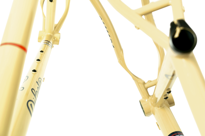 Kit Cadre Dilecta Cycles Samara