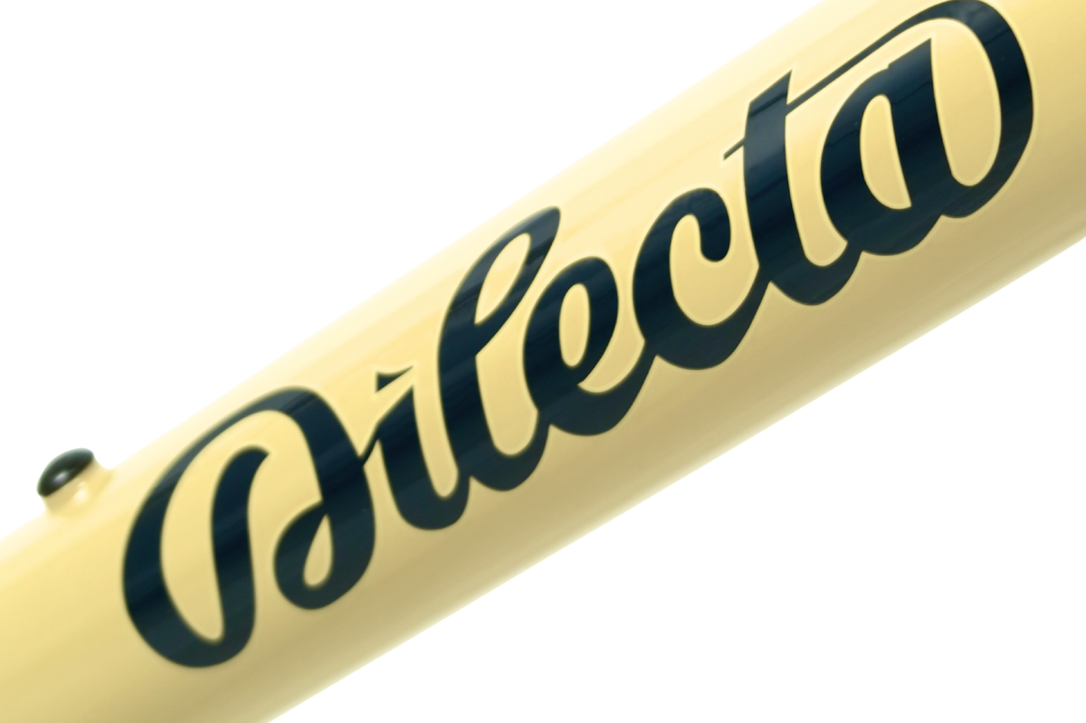Kit Cadre Dilecta Cycles Samara