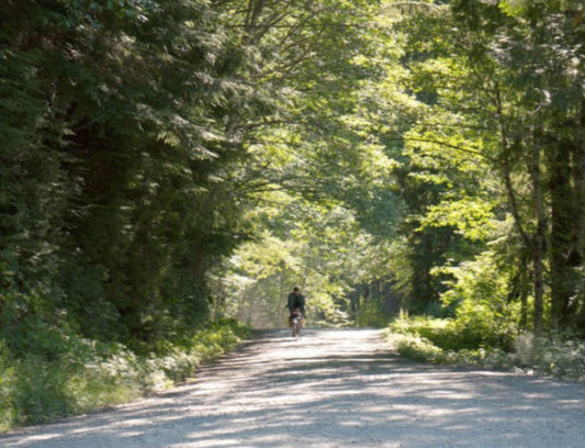 Pneu René Herse Barlow Pass 700x38c Carcasse Endurance