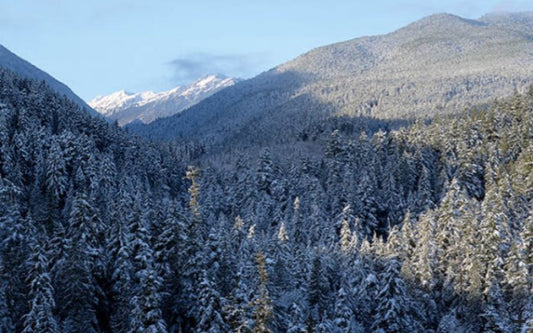 Pneu René Herse Hurricane Ridge 700x42C Carcasse Endurance Plus